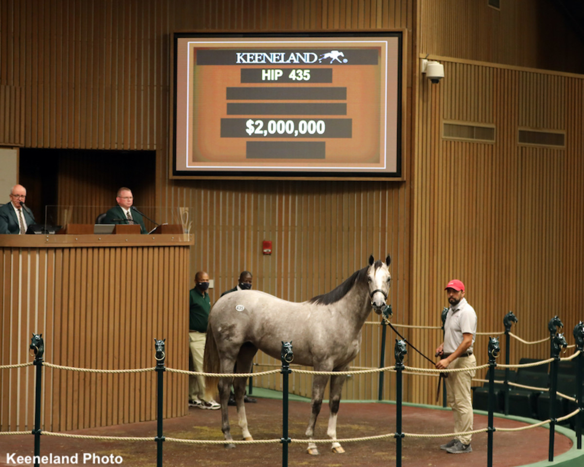 Keeneland Sales 2024 Results In India Maddy Clemmie