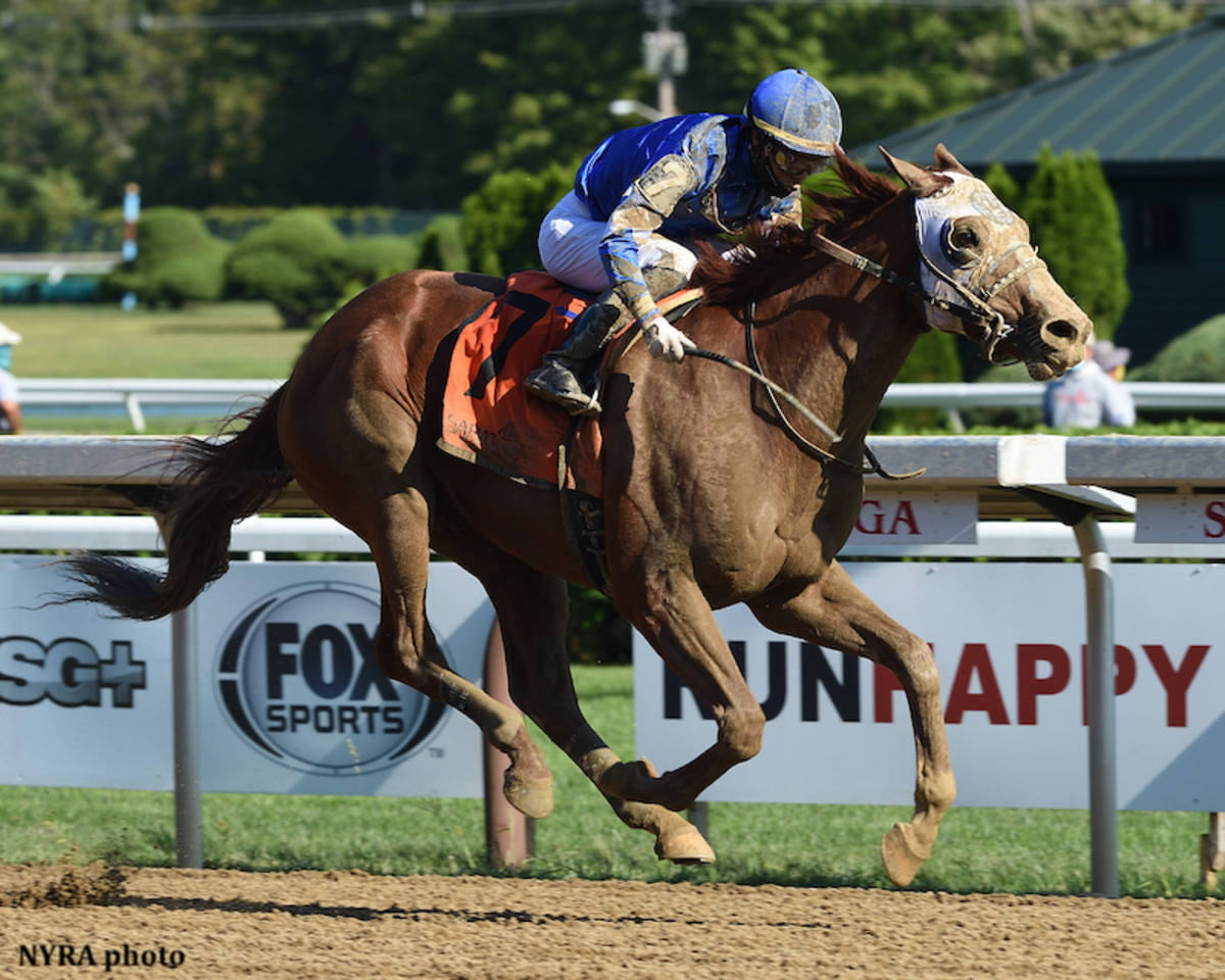 Ghostzapper Colt Mystic Guide Could Jump From Jim Dandy Win To
