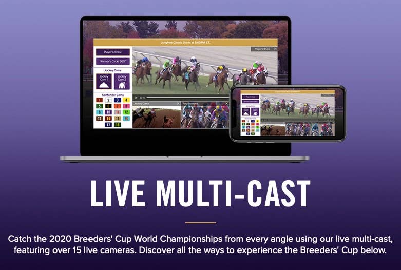 Breeders' Cup Presents The News Minute: A Camera For Every Contender - Paulick Report | Latest ...