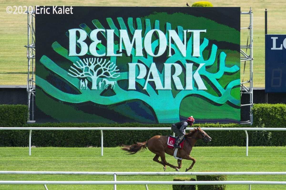 NYRA Releases 16.95 Million Stakes Schedule For Belmont Spring/Summer