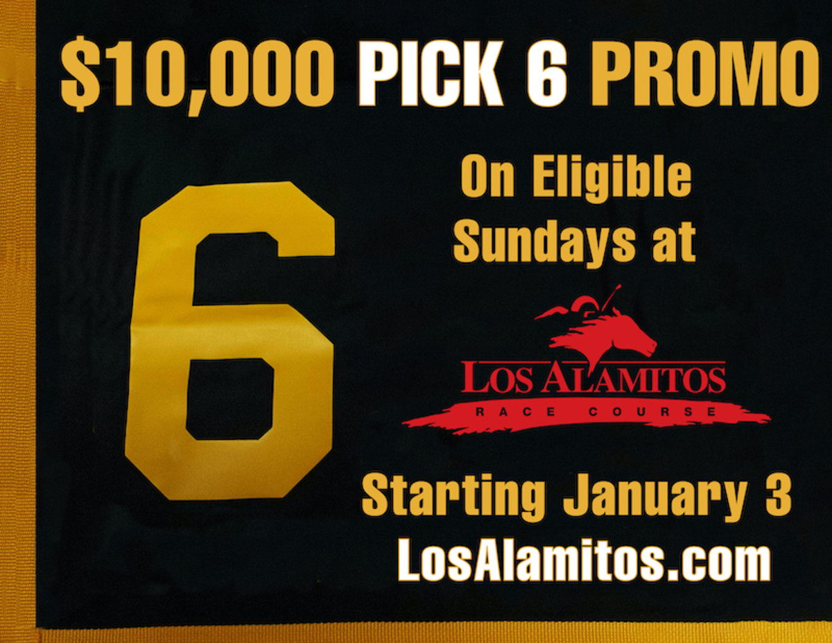 Los Alamitos To Add 10,000 To Sunday Night Pick 6 Pools In January Paulick Report Shining