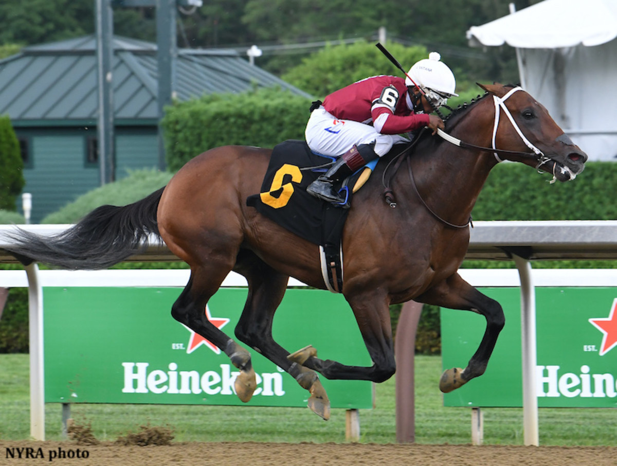 Sharp Saratoga Maiden Winner Calibrate To Be Pointed To Breeders