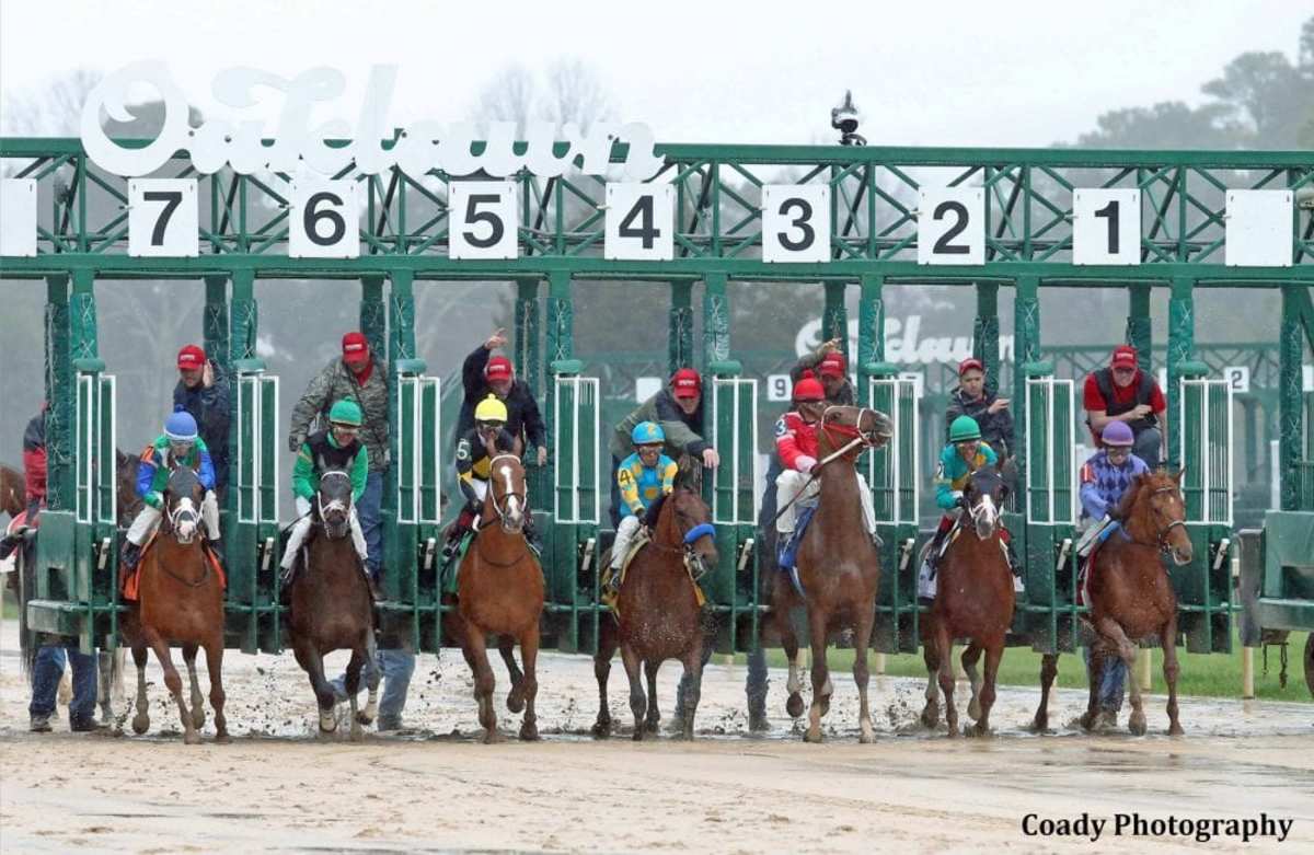 Starting gate, Oaklawn Park