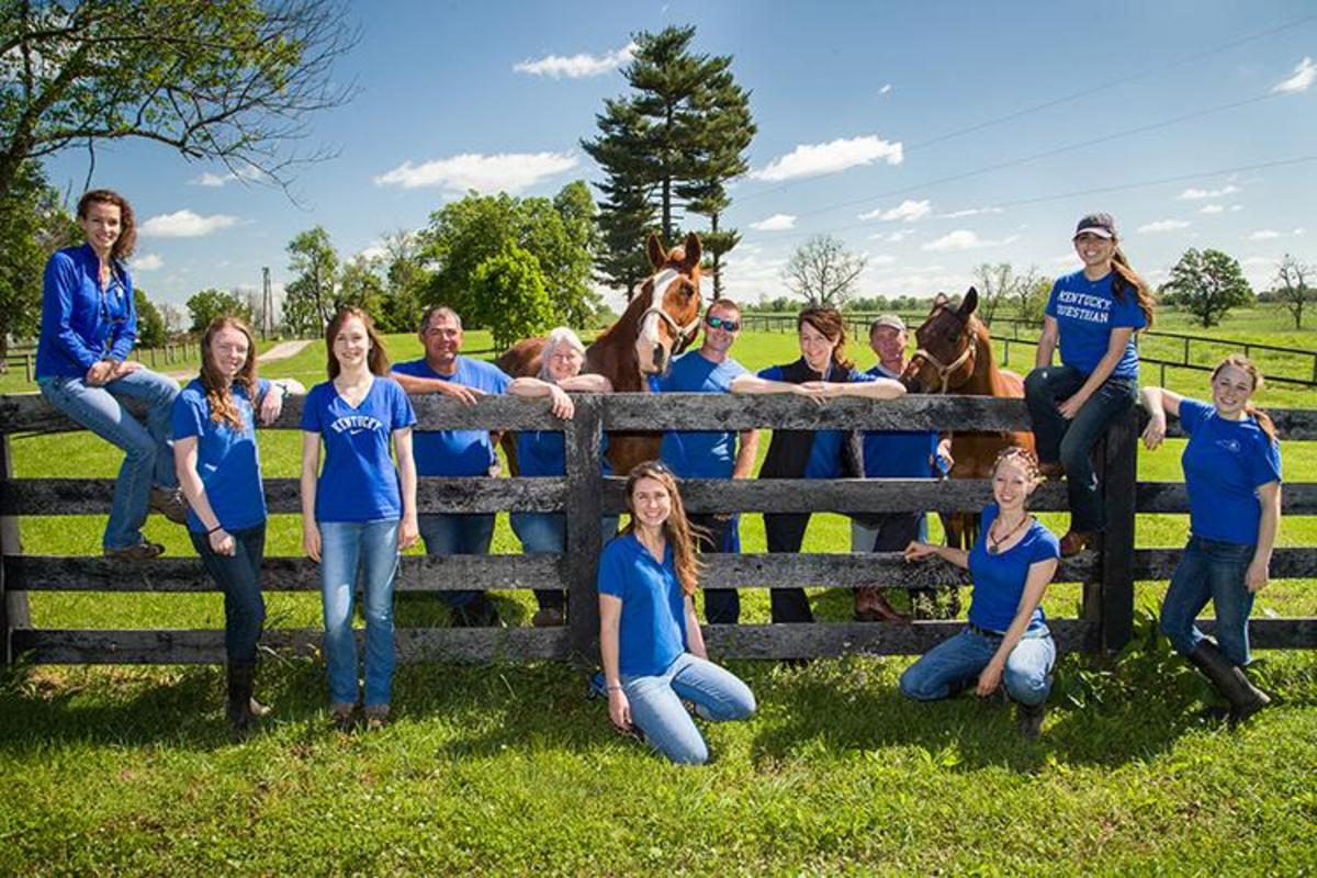 MARS Equestrian Fellow At UK’s Gluck Equine Research Center Continues ...