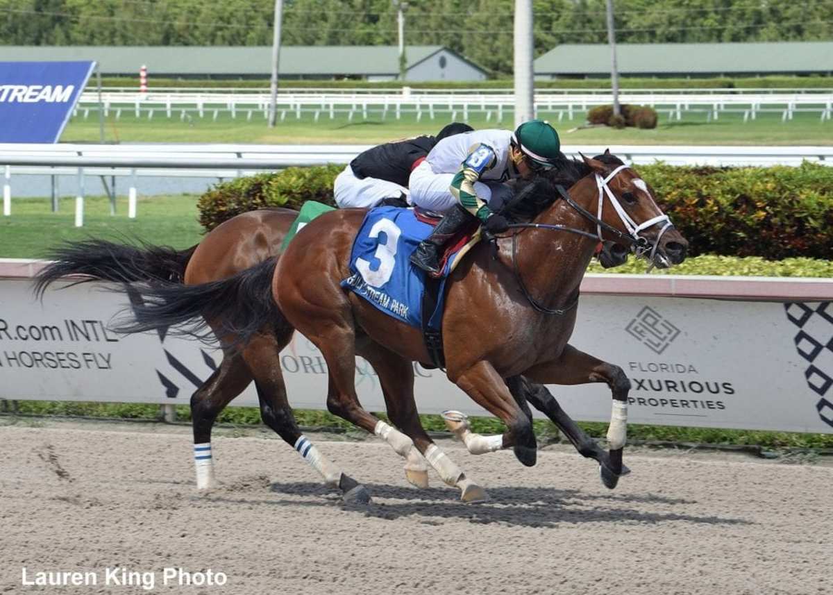 Chick Lang Stakes On Thursday Kicks Off Preakness Weekend At Pimlico