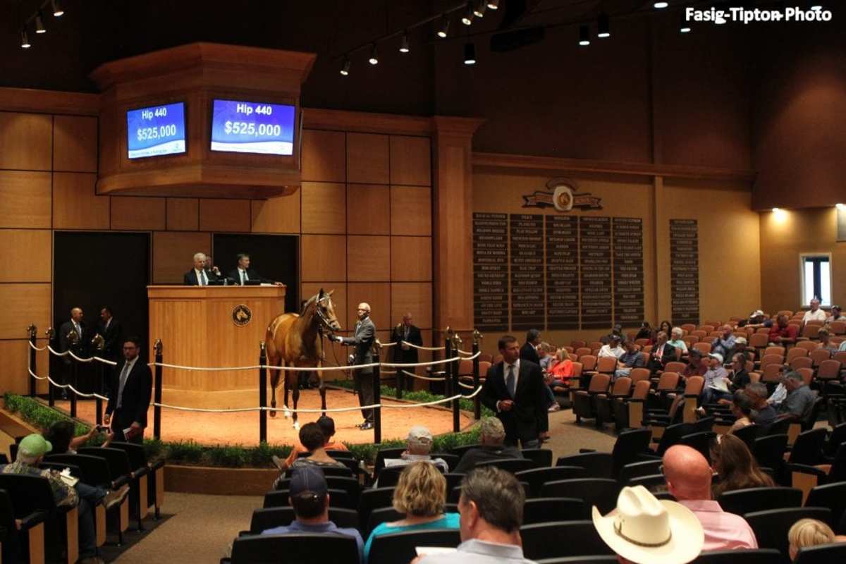 FasigTipton July Yearling Sale Catalog Now Online Paulick Report