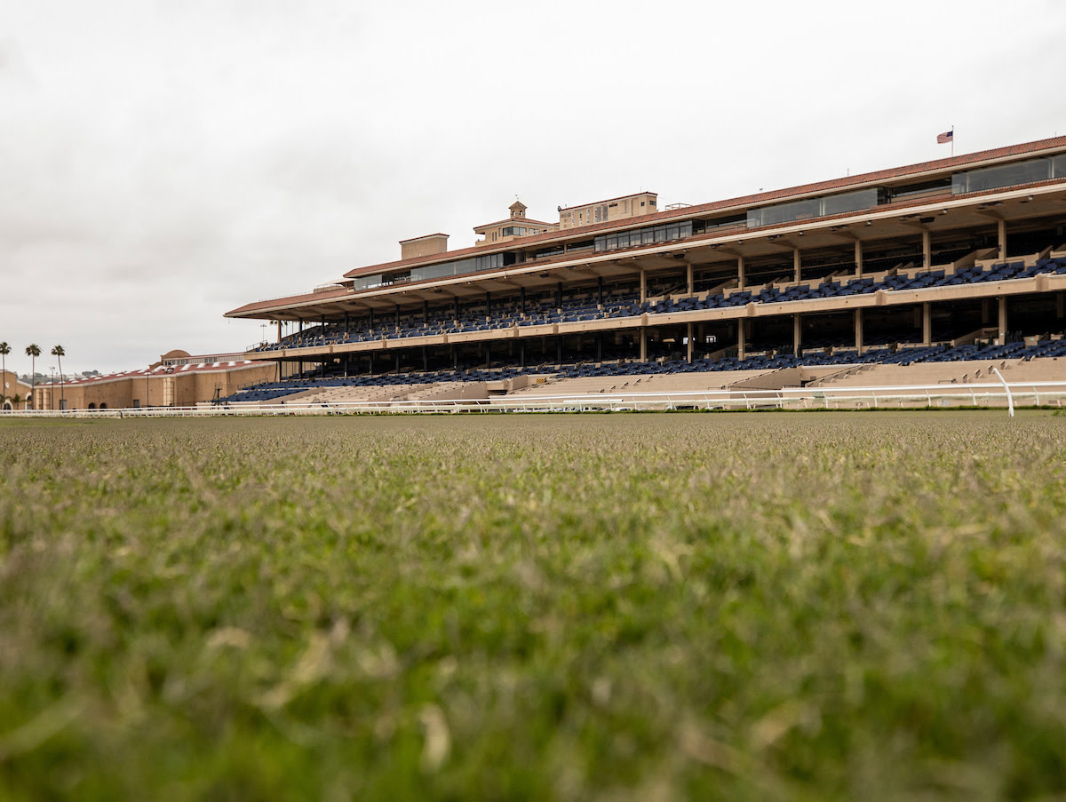 Weekend Lineup Presented By Del Mar Fall Meet Comes Alive Where The