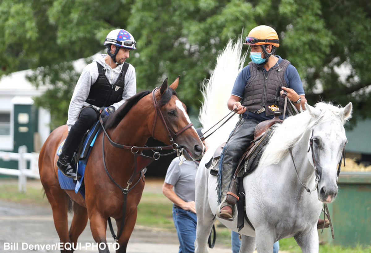 Forgotten Horse' Authentic Completes Penultimate Workout For Kentucky Derby  - Paulick Report | Latest news and commentary from the horse racing and  equine world, image size:1200x819