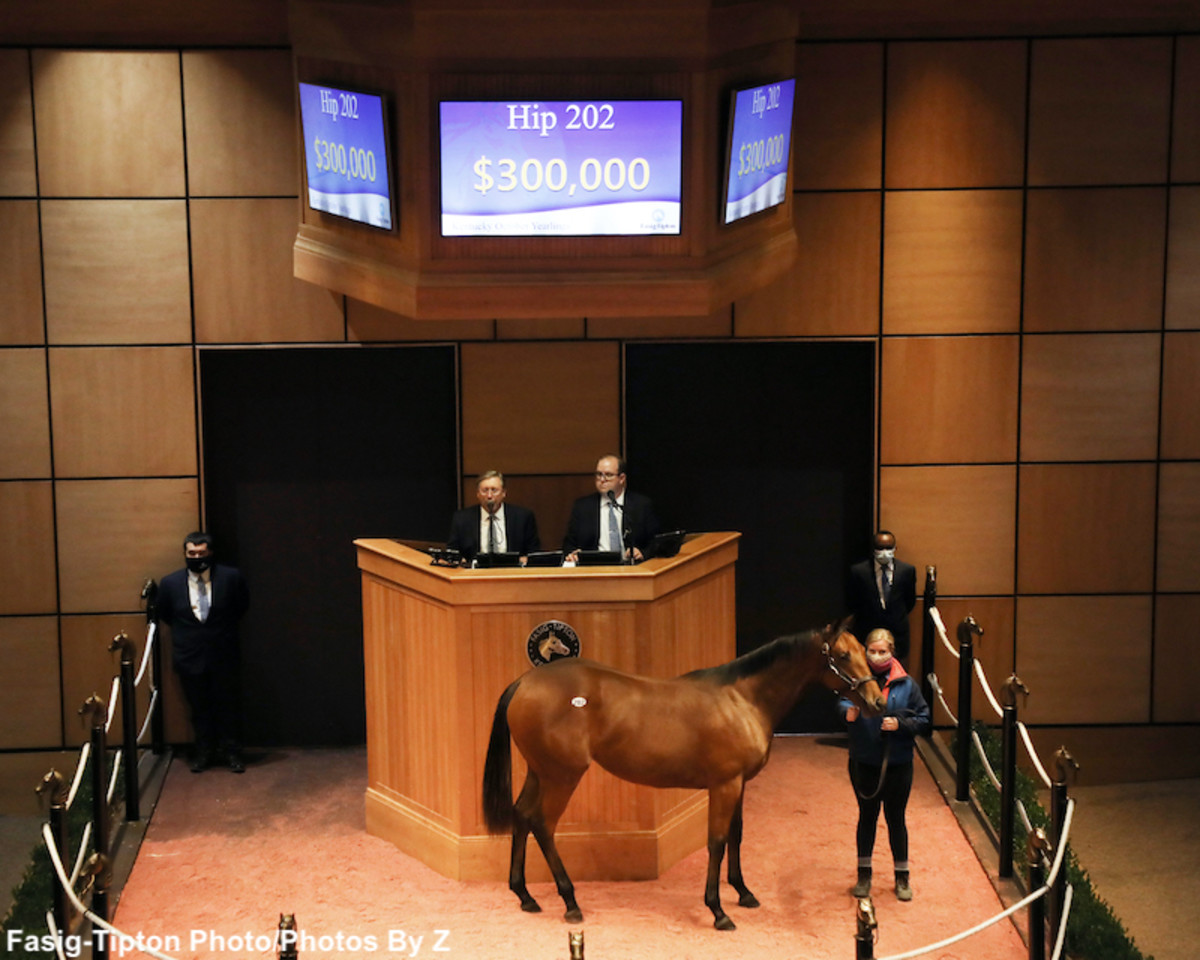 Into Mischief Yearlings Highlight Opening Session Of FasigTipton