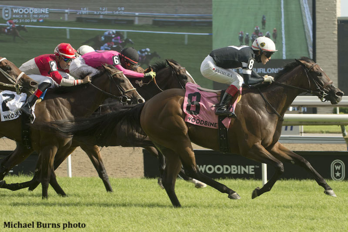 ビジネス・経済 HIT WIN VICTORY II OF HORSE RACE ビジネス・経済 HIT WIN VICTORY II OF HORSE RACE horse3-1229