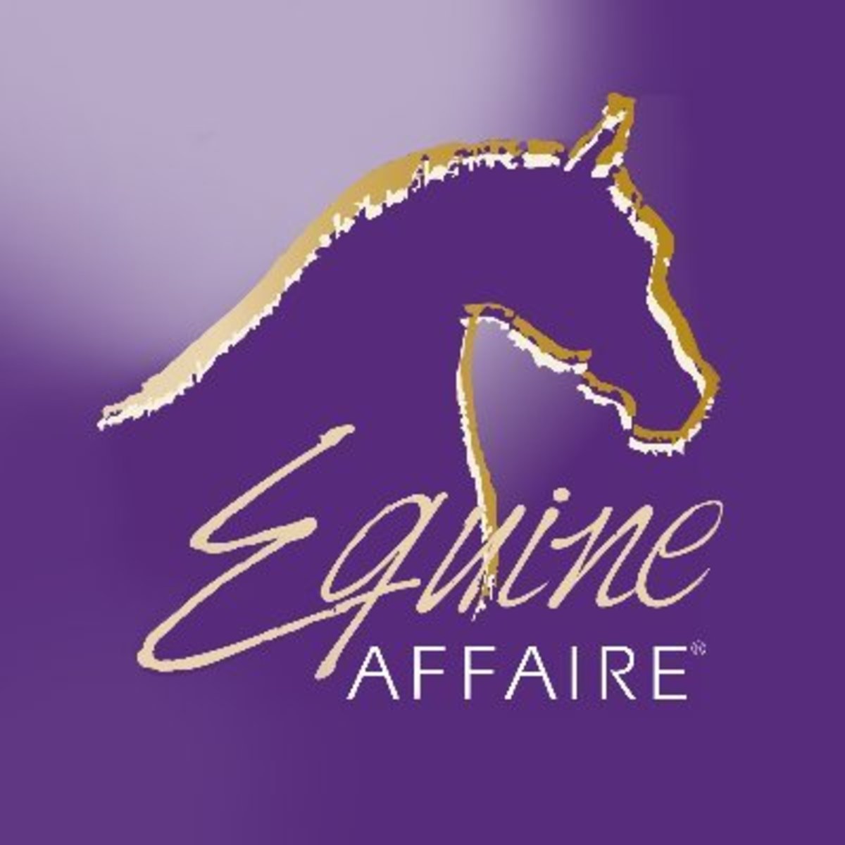 Equine Affaire Massachusetts Get Ready To Ride With A Pro Paulick