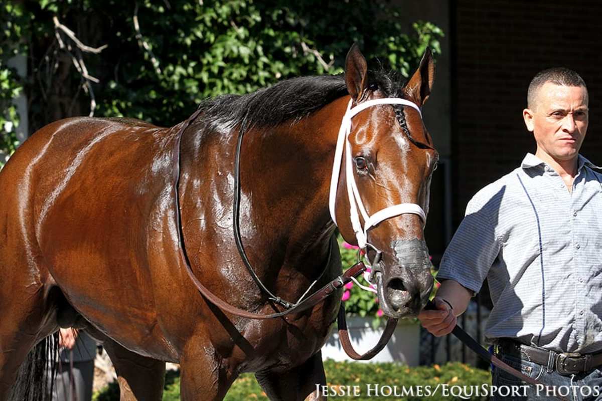 'Tough, Seasoned' Firenze Fire Makes Seasonal Debut In Grade 3 General ...