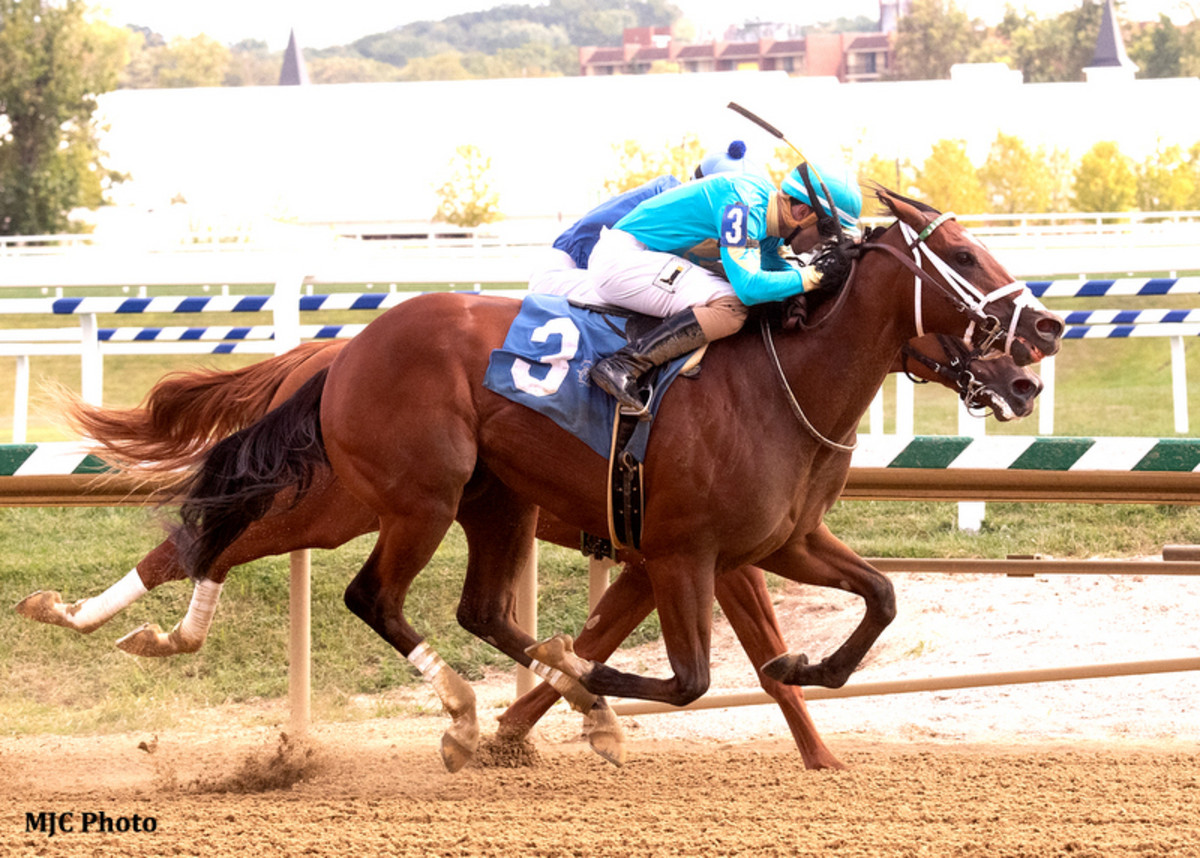 Maryland Million: Double Crown Returns In Sprint, So Street Chasing ...