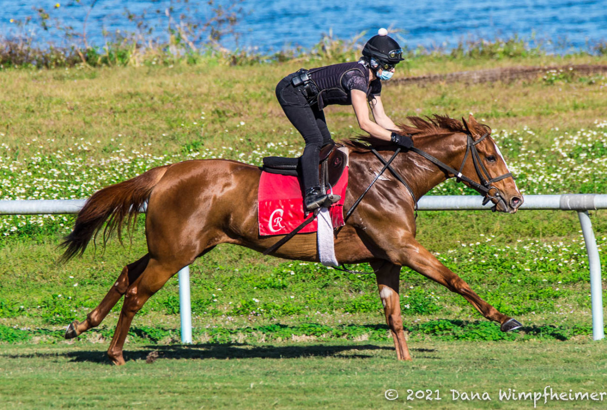 Churchill Downs Distaff Turf Mile Draws Multiple Grade 1 Winner