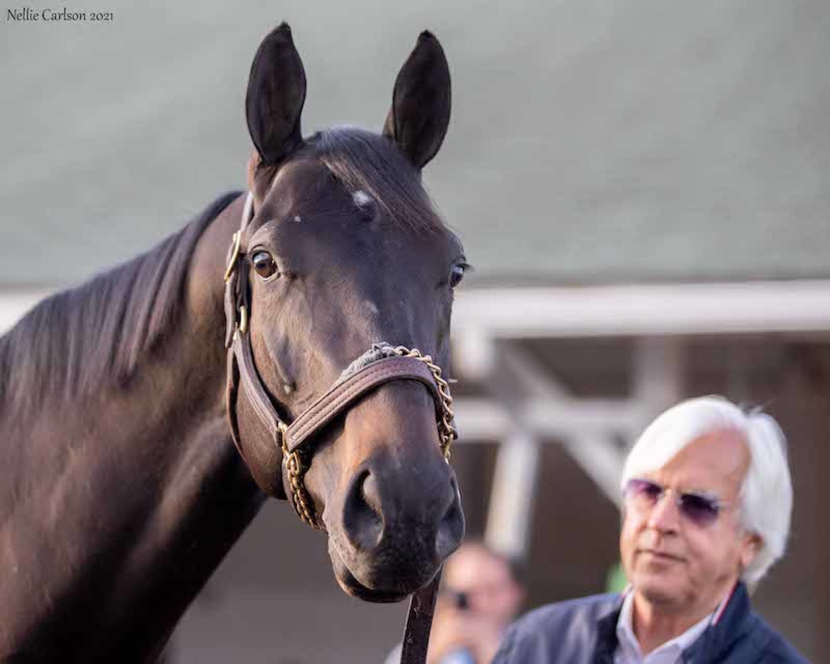 View From The Eighth Pole Another Kentucky Derby Asterisk? Paulick