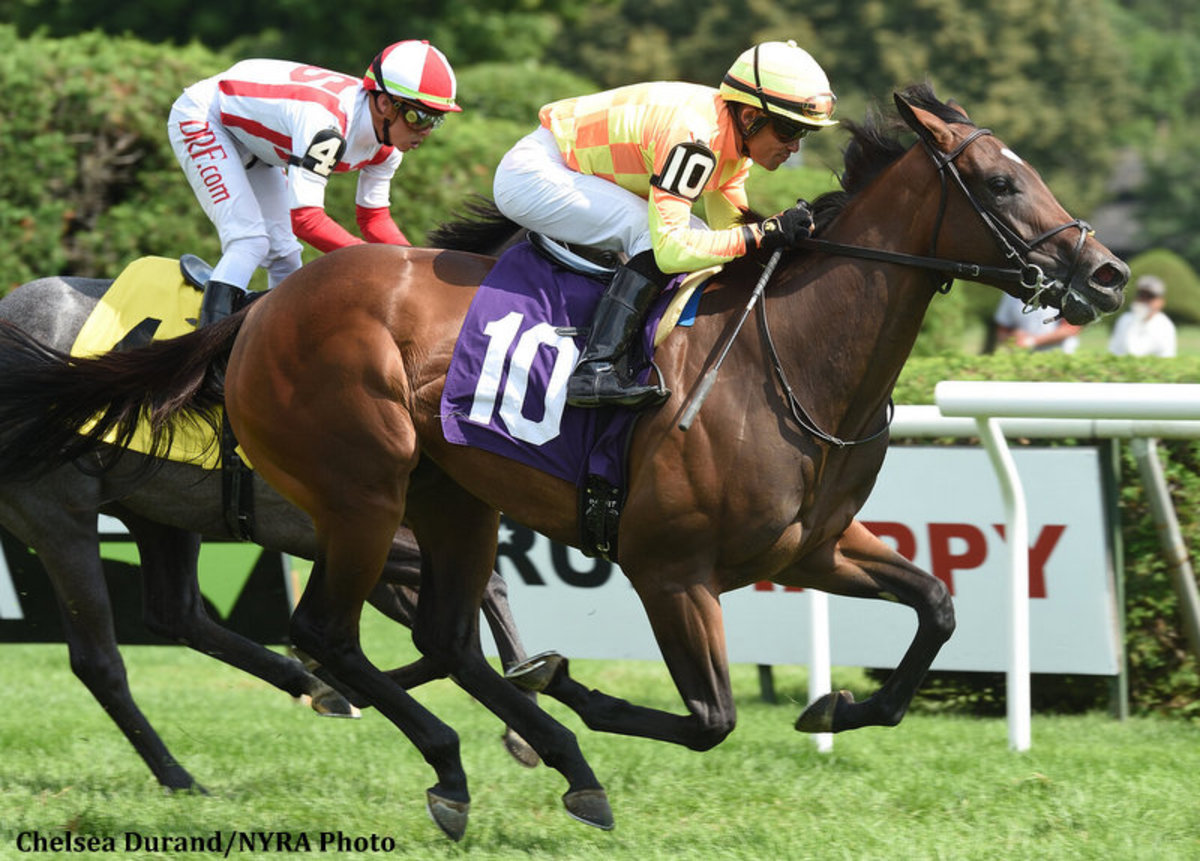 Clement Gives Pizza Bianca A Freshening, Prepares Mutamakina, La