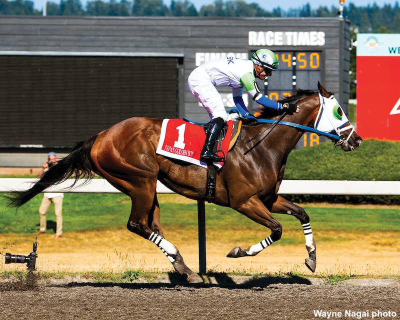 WTBOA Summer Yearling And Mixed Sale Looking To Build On Past Successes ...
