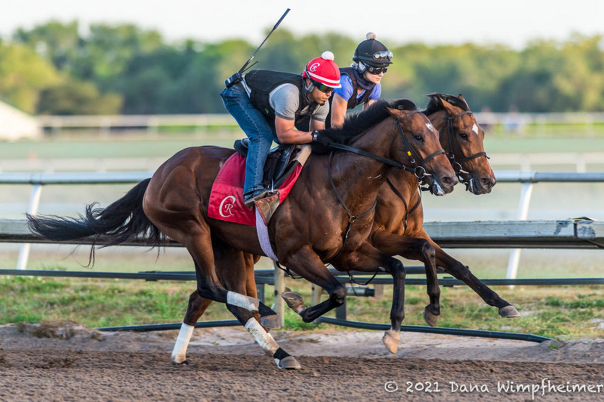 Tampa Bay Derby Winner Helium, Gotham Hero Weyburn Among Late Triple