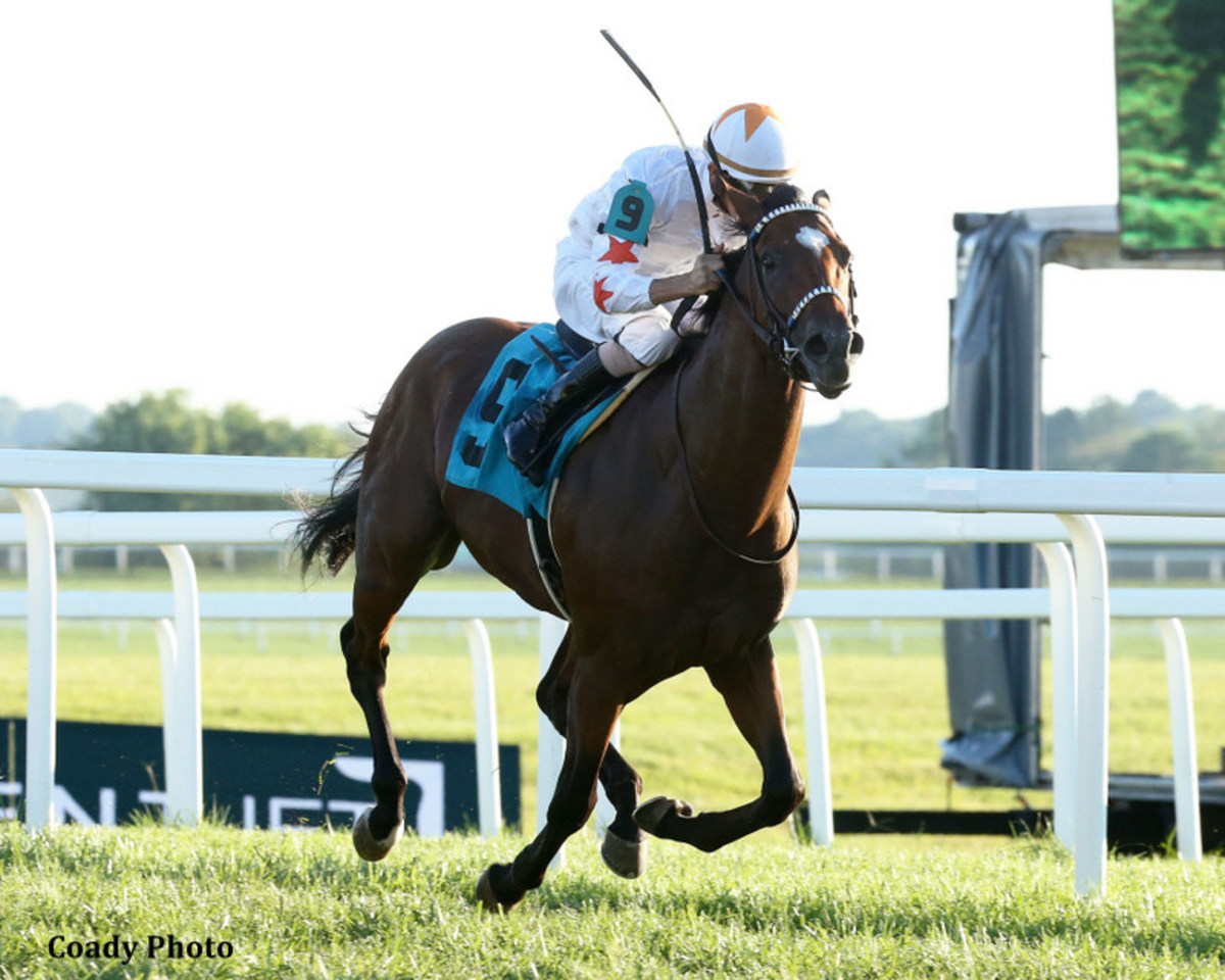 'I Hate Running The Two Against Each Other' McPeek Sets Sights On 1MIllion Turf Race With Tiz