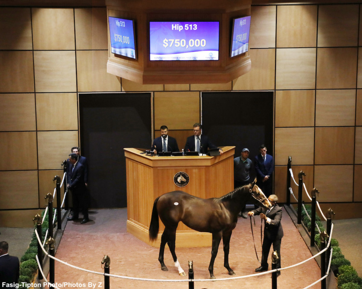 Empire Maker Colt Ties Sale Record During Second Session Of Fasig