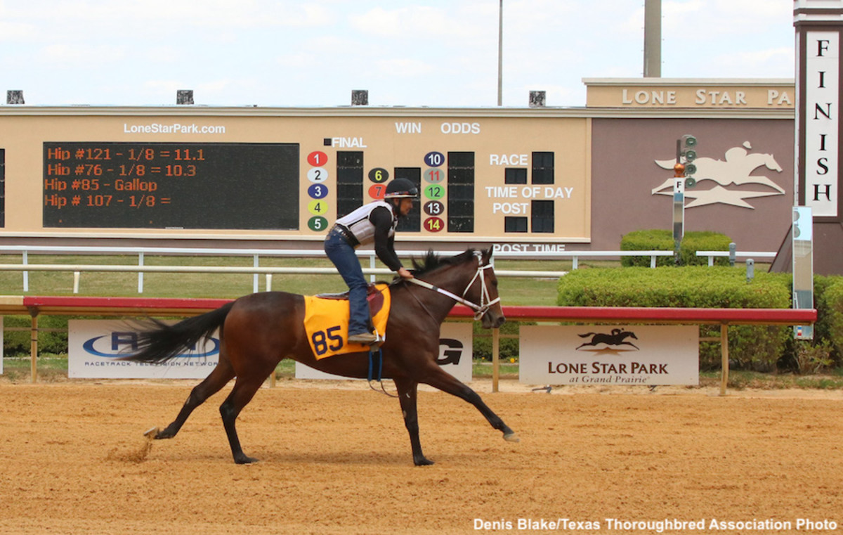 Texas 2YearOld Sale Posts RecordBreaking Numbers Paulick Report