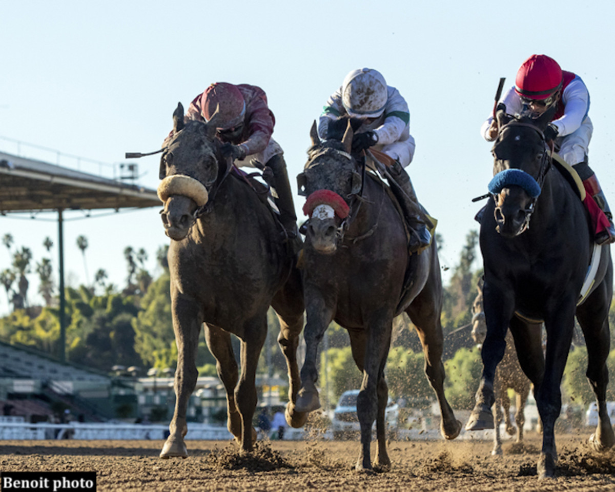 O'Neill Has Plenty Of Triple Crown Horsepower With Hot Rod Charlie, The