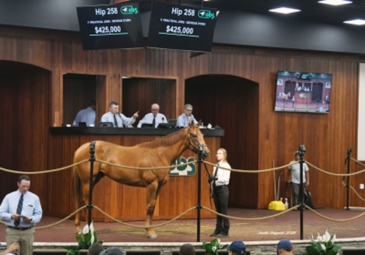 Practical Joke Filly Tops OBS June Sale Opener Paulick Report