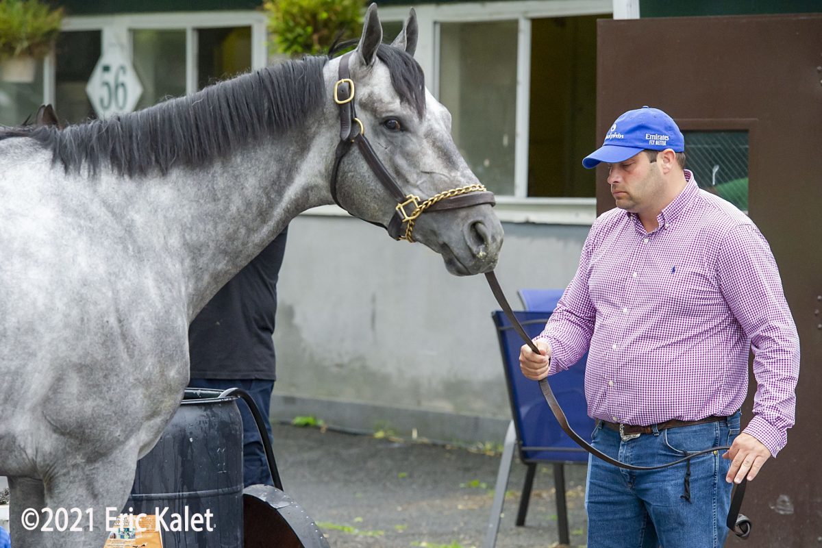 Everything Has Been Positive' With Juvenile Champ, Jim Dandy Favorite  Essential Quality - Paulick Report | Shining Light on the Horse Industry