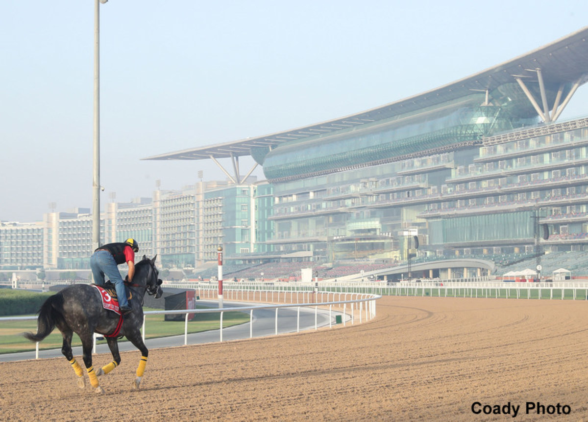 The Haiku Handicapper Presented By Sky Racing World: 2025 Dubai World ...