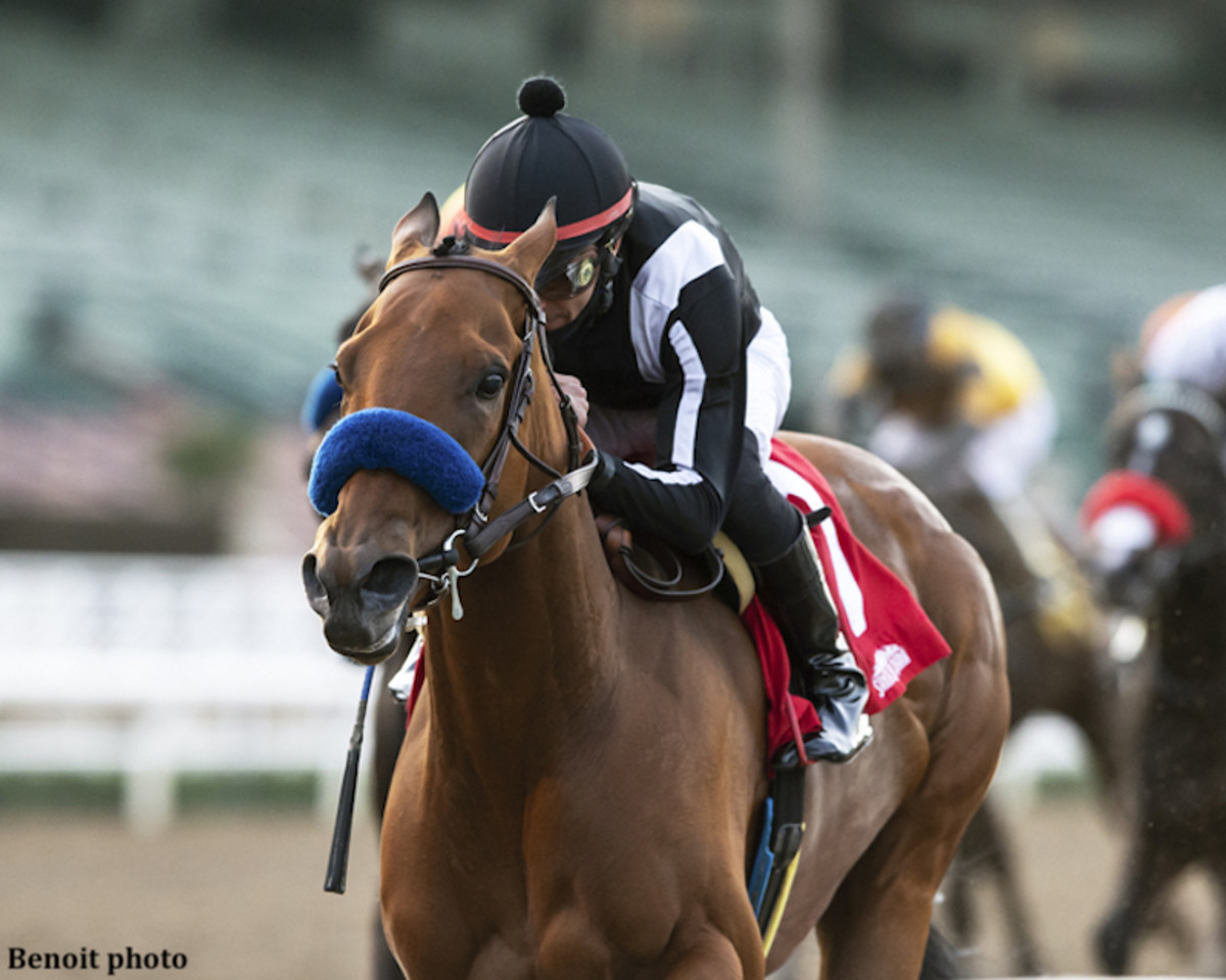 Merneith Leads 1-2-3 Baffert Finish In Santa Monica Stakes - Paulick ...