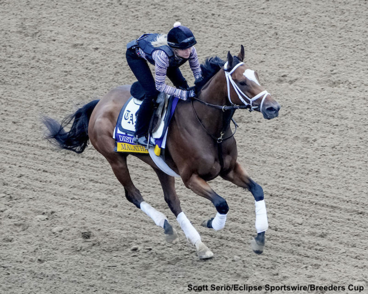 Breeders Cup Distaff Notes Pletcher Hoping Long Term Plan Pays