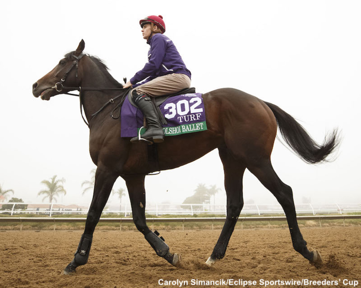 Breeders' Cup Presents The News Minute Scratches Change Complexion Of
