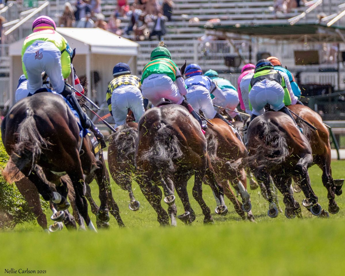 AllStar Panel Of Experts Set For Inaugural Racecourse Manager