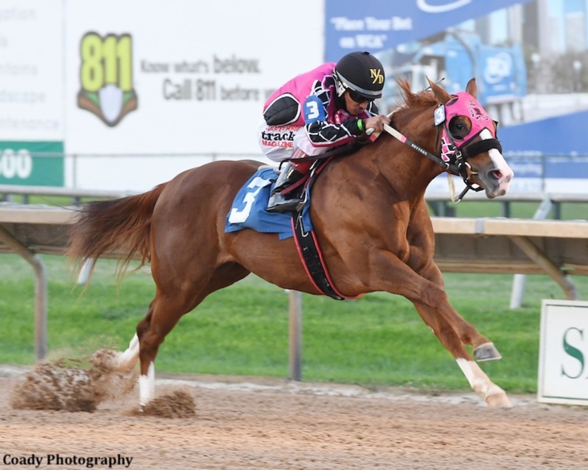 After Positive Hair Tests, Sam Houston Futurity Will Be Held As Non