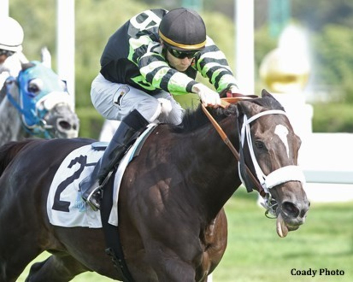 Bramble Queen, Mohs, Readthecliffnotes Capture Hawthorne's Weekend