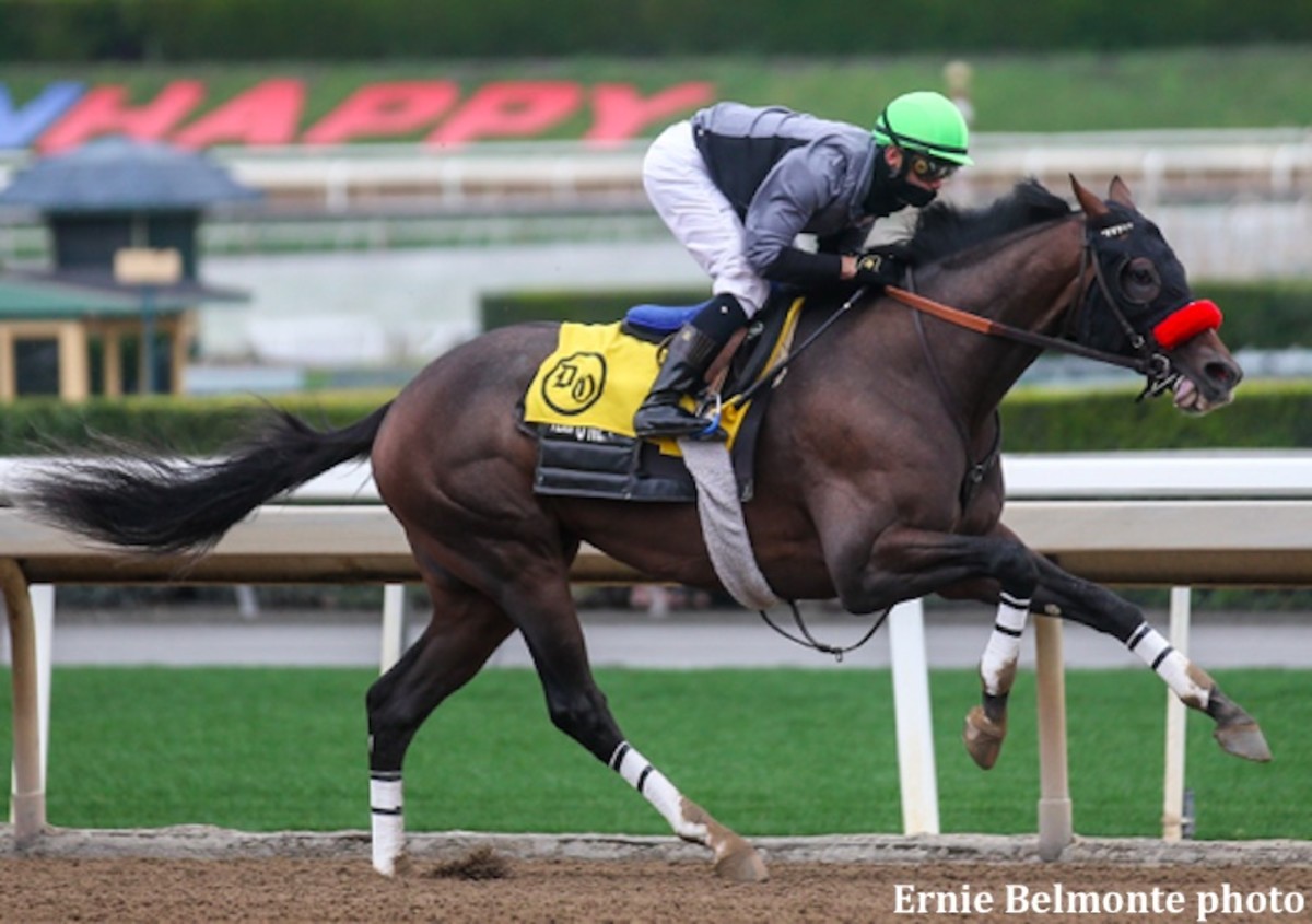 'I Loved His Energy' Prat Breezes Hot Rod Charlie Before First Race At