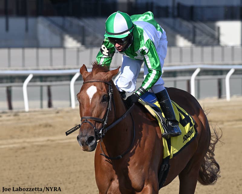 Buff Racing Mr. Buff Wins His Third Consecutive Jazil Stakes In A Laugher - Paulick ...