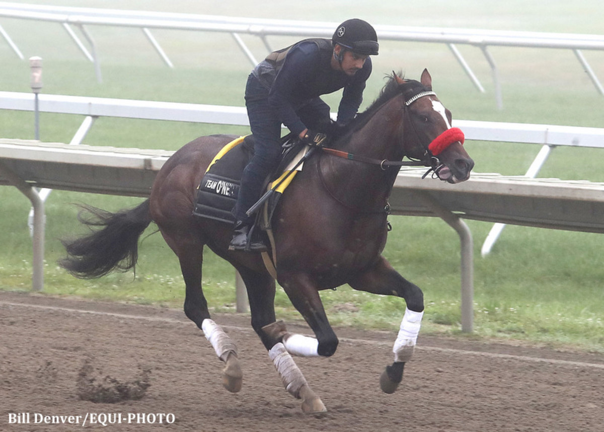 Hot Rod Charlie Installed As 65 Favorite In SevenHorse Haskell