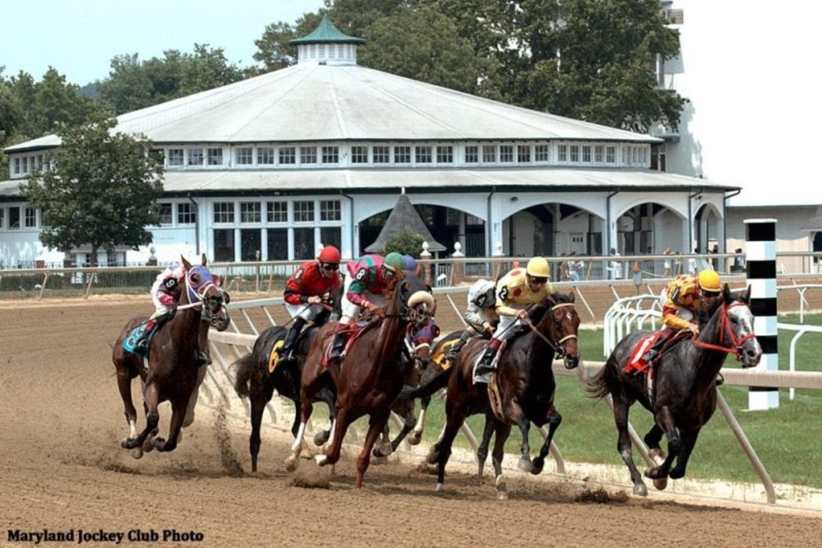 Laurel Park Sets 2025 WinterSpring Stakes Schedule Paulick Report