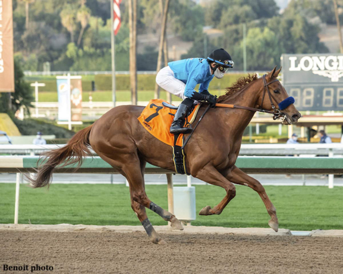 Trio Of Graded Wins Nets Joel Rosario Jockey Of The Week Title