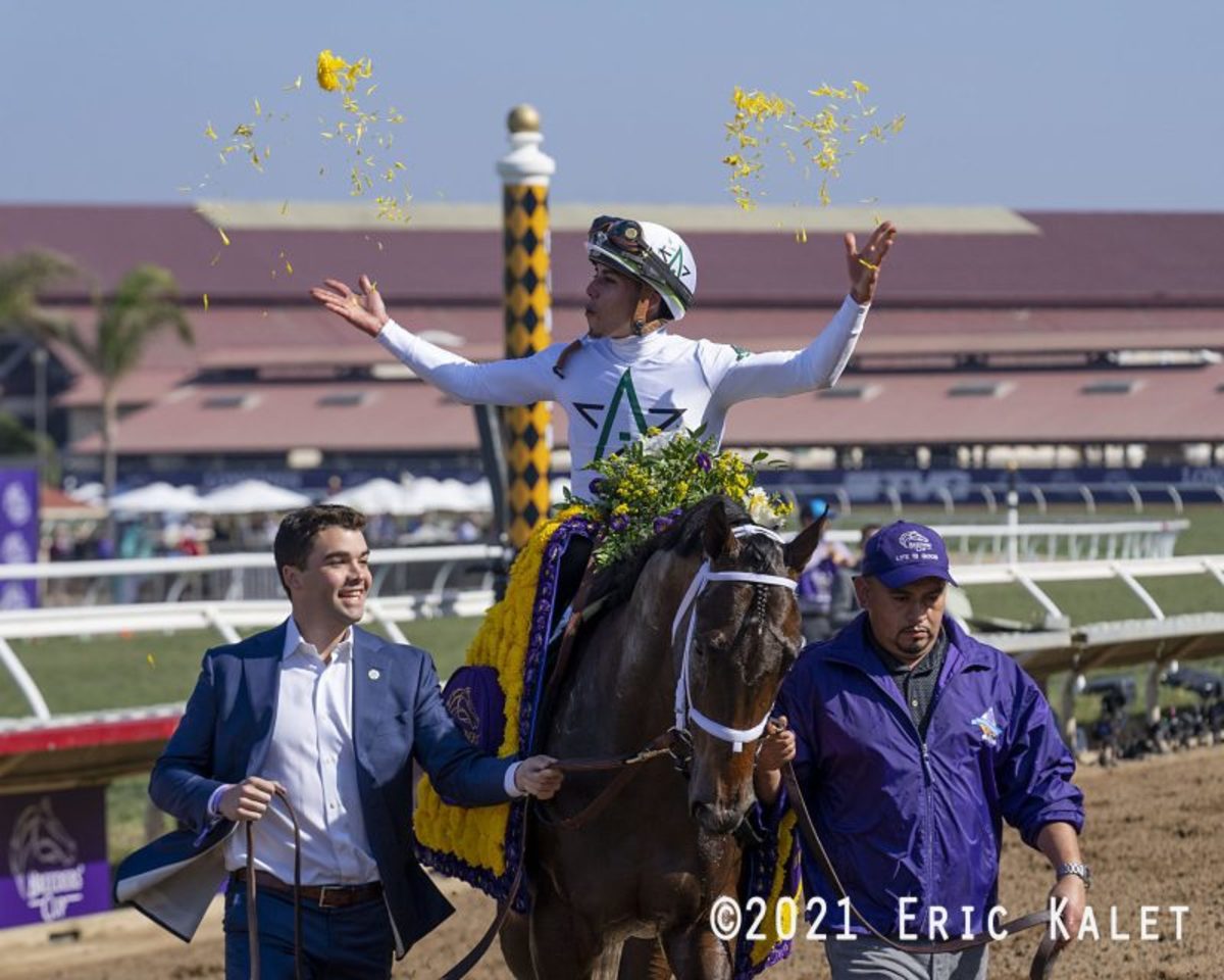 Life Is Good Runs Off The Screen In Breeders' Cup Dirt Mile Paulick