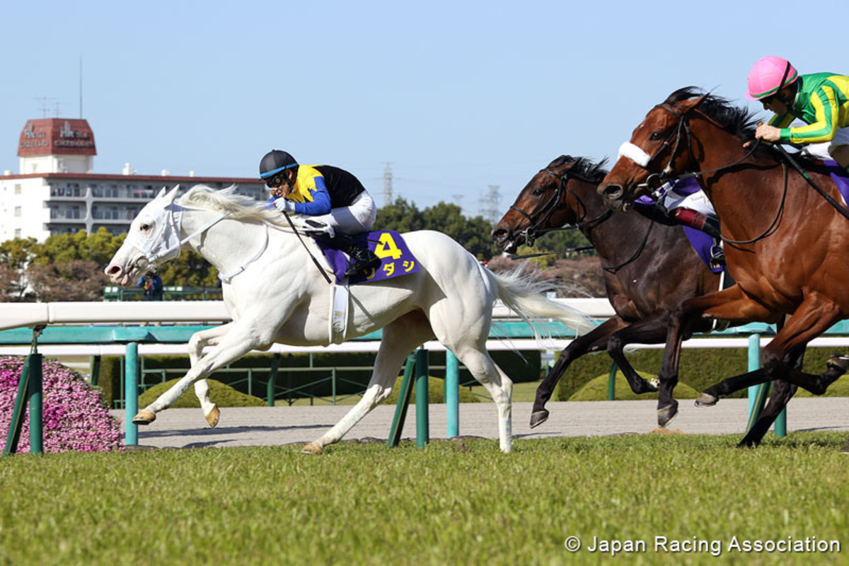 Champion White Filly Sodashi Remains Undefeated With Oka Sho Triumph To ...