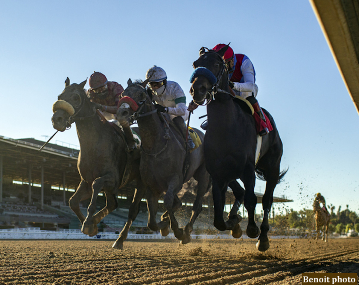 Medina Spirit Emerges With Narrow Victory In Robert B. Lewis Stakes