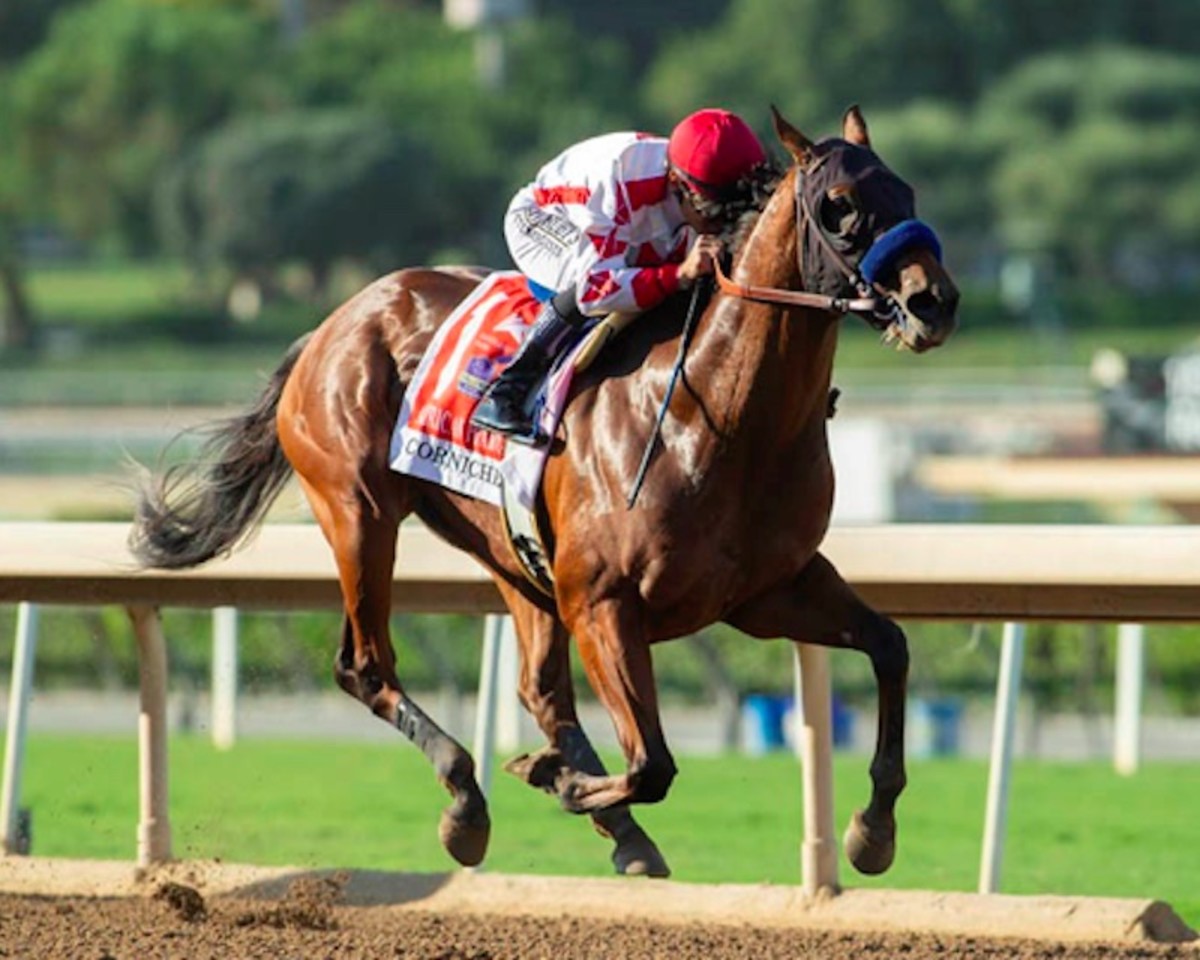 $1.5 Million Quality Road Colt Corniche Wires American Pharoah Field -  Paulick Report | Latest news and commentary from the horse racing and  equine world