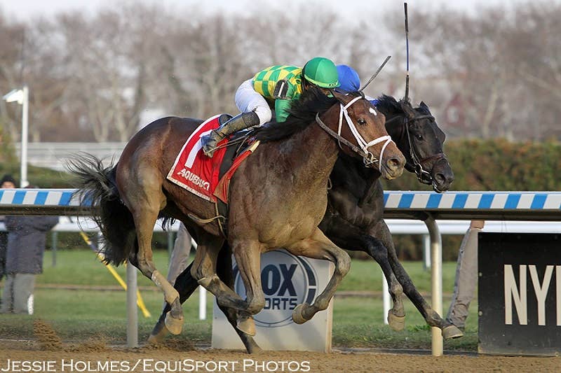 Iowa Horse Racing Bloodlines Presented By Iowa Thoroughbred Breeders And Owners ...