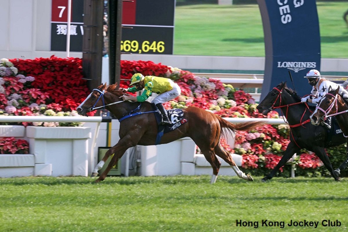 Sky Field Wins Hong Kong Sprint Marred By Four Horse Spill Two