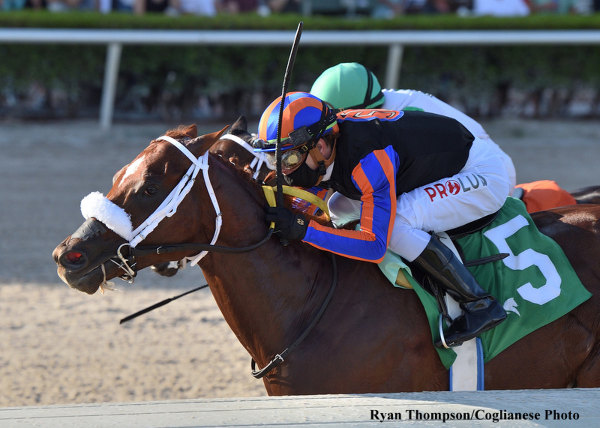 Grade 1 Winner Drain The Clock Returns To Action With FrontRunning