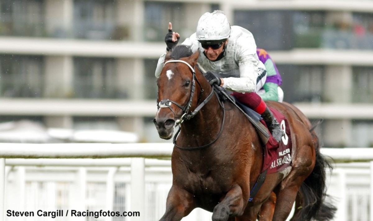 Palace Pier Leads LONGINES World s Best Racehorse Rankings