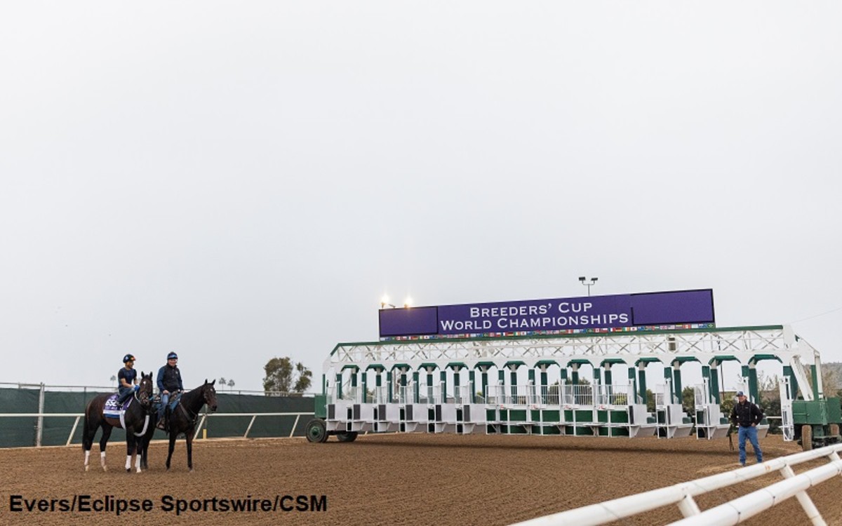 TVG Will Broadcast Breeders' Cup Post Position Draw Monday Paulick
