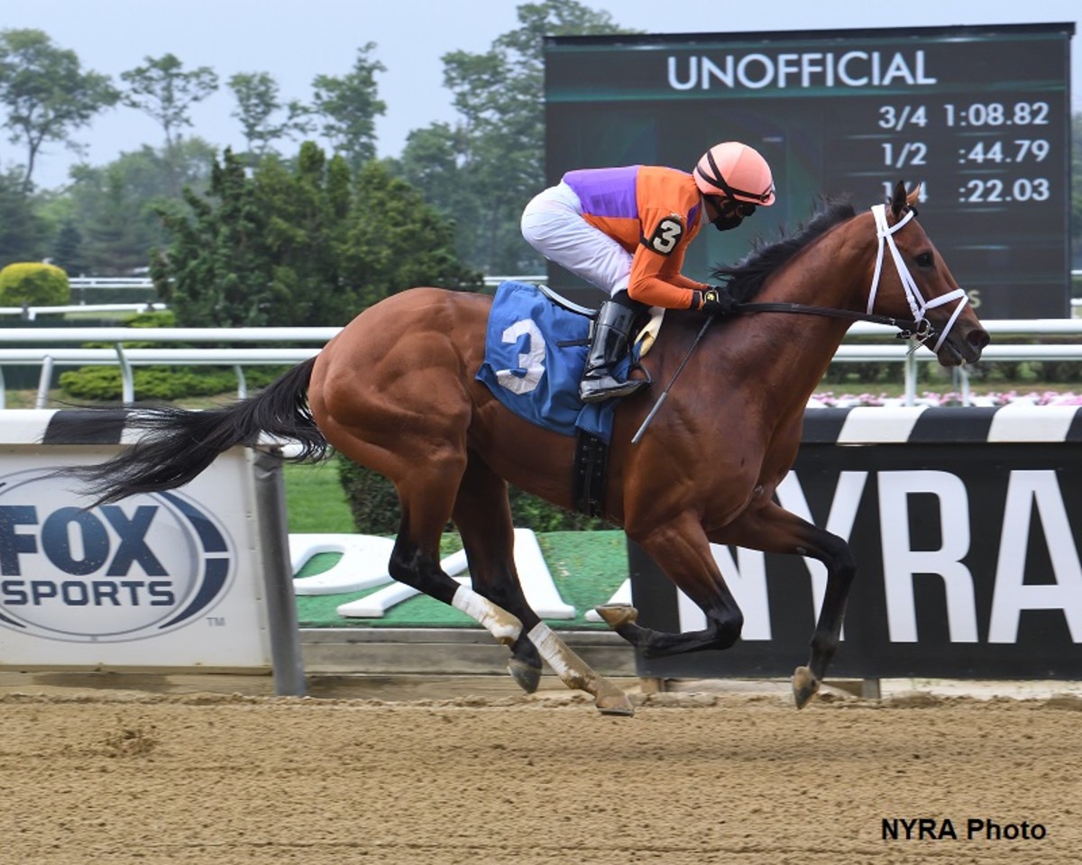 Following Sea May Target H. Allen Jerkens Stakes At Saratoga Paulick